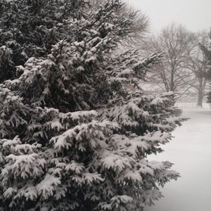 Meet your Posher, Charm